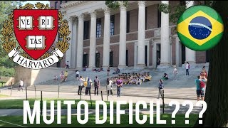 COMO É ESTUDAR EM HARVARD [upl. by Barret]