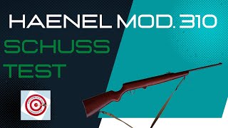 Luftgewehr Haenel Modell 310 Plinking und Präzisionstest auf Zielscheibe [upl. by Lux]