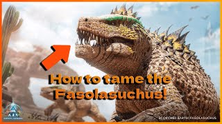 The Best amp Easiest Way to Tame the Fasolasuchus  Ark Survival Ascended How To Guide [upl. by Yeznil]