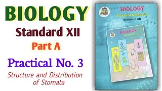 12th Biology Practical No3 ll Structure and Distribution of Stomata viralvideo exam 12th board [upl. by Lebatsirhc]