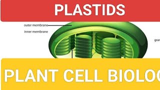 PLASTID I CELL BIOLOGY INEETI JPSC UPSC UPPCS BPSC AND ALL GOVERNMENT EXAMS [upl. by Beverle]