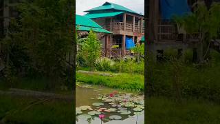 শ্রীমঙ্গল রিসোর্ট  Sreemangal resort  হিমকুঁড়ি বনবাংলো  resort [upl. by Ninos]