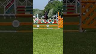 My 5yr old ex racehorse keeping pretty straight through this line 🥰 exracehorse retraining jump [upl. by Ennaxxor]