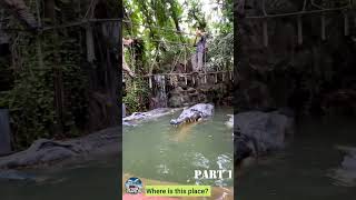 Explore the WILDEST Safari World in Bangkok [upl. by Ilatan]