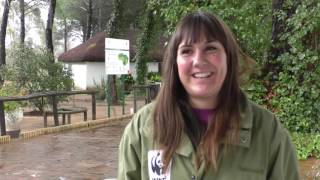 GIVING TUESDAY WWF y DOÑANA [upl. by Nelehyram]