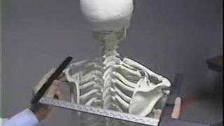 CDC Anthropometric Vid Introduction [upl. by Hester360]