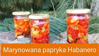 Marynowana papryka Habanero [upl. by Ibba409]