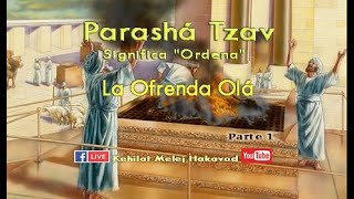 Parashá Tzav parte 1 [upl. by Arikal259]