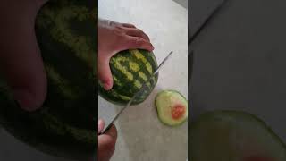 cutting watermelon🍉🫐🍓🍒 fruitcrops asmr cuttingskills shortsvideo trending farming [upl. by Avad]