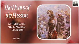 The Hours of the Passion with meditation and reparations for sinners [upl. by Tinor736]