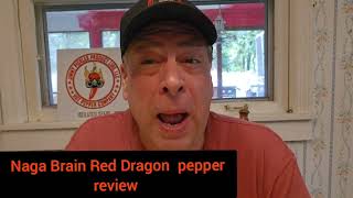 Naga Brain Red Dragon Review [upl. by Zosema]