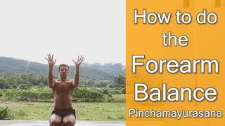 How to Do the Forearm Balance  Ashtanga Pinchamayurasana [upl. by Bertine994]