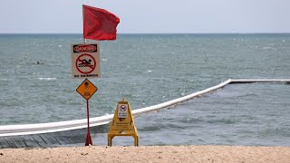 Teenager stung by deadly jellyfish in Far North Queensland [upl. by Xymenes]