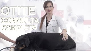 OTITE  Consulta Veterinária completa [upl. by Wightman]