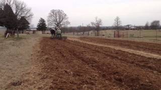 Draft horse discing field [upl. by Ydoj161]