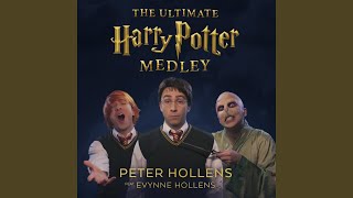 The Ultimate Harry Potter Fan Theory Medley Hedwigs Theme  Fawkes the Phoenix  Double [upl. by Crosse667]