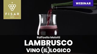 Lambrusco  vino illogico [upl. by Honora]