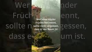 Zitate zum Nachdenken 66 ☘ [upl. by Sopher]