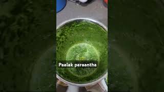 Palak recipe youtubeshorts food foodpreparation foodie newfoodie newcook cooking cookingfood [upl. by Shulman]