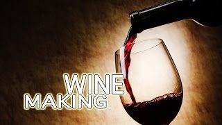 How To Make Wine  The Best [upl. by Niatsirt]