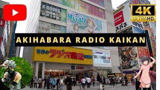 Akihabara Radio Kaikan Manga Anime Figures Cards And More  November 2024 Tokyo Store Visit [upl. by Alyac]