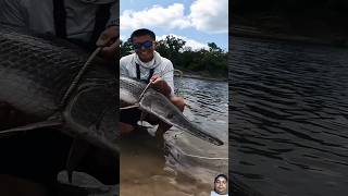 The big ghost catch fish fishing fish baitandwait fishinglife bassfishinglife mybaitshop [upl. by Luna]