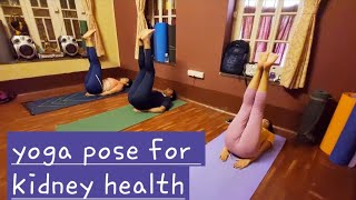 UTTANA PADASANA  YOGA POSTURE  RAISED LEG POSTURE FOR KIDNEY HEALTH [upl. by Sabina]