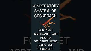 NOTES WORLD 🌍biologyrespiratory system of cockroach for NEET Aspirants and board students [upl. by Ltsyrk]