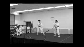 Shorinji Kempo Stage Demo [upl. by Girovard]