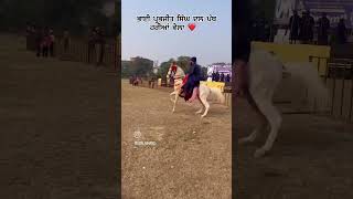 nihanglife nihangsingh punjabi [upl. by Yonit956]