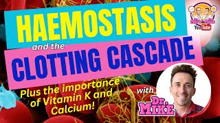 Hemostasis and the Clotting Cascade Why Vitamin K amp Calcium are important [upl. by Gwenneth]