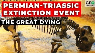 PermianTriassic Extinction Event  The Great Dying [upl. by Amary385]