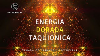 ⚡️ ENERGIA DORADA TAQUIONICA 👽 CAMARA DE SANACION ARCTURIANA  Vivi Pedraglio [upl. by Nylave]