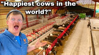 THE WORLDS BEST COW SHED IS OPEN [upl. by Enelrahc]