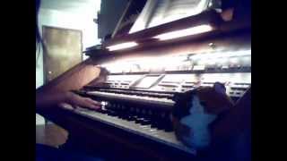 Lord of the Rings King of the Golden Hall Organ [upl. by Benedicto]