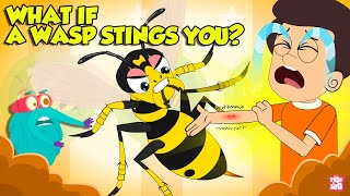 Are Wasp Stings Dangerous  What if a Wasp Stings You  How to Treat a Wasp Sting  Dr Binocs [upl. by Etnovahs]