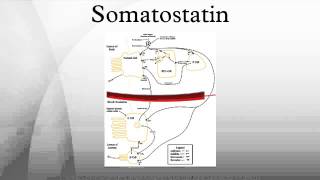 Somatostatin [upl. by Manthei]