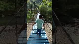 Wisata Kebon Pring Piyungan  Jembatan Gantung [upl. by Imoian]