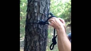 MTSRUNNER rope prusik and bridge demo [upl. by Joete]