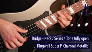 Dingwall Guitars Super P Live Demo  BassFreaksnet [upl. by Chesna]