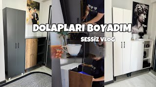 DOLAPLARIMI BOYADIM  EVDE MOBÄ°LYA BOYAMAK  AZ MALÄ°YETLE MOBÄ°LYA YENÄ°LEME VE DÃ–NÃœÅžÃœM  SESSÄ°Z VLOG [upl. by Nabal]