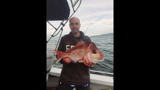 Jigging for Kingfish and PB Snapper Shellharbour NSW Australia [upl. by Salokin631]