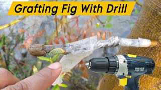 grafting tree with drill [upl. by Enerehs]