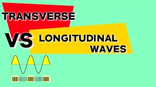 Transverse and Longitudinal waves [upl. by Bradan593]