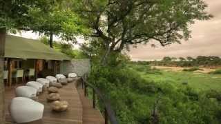 Ngala Tented Camp Timbavati Private Nature Reserve Greater Kruger [upl. by Smith]