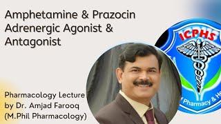 Amphetamine amp Prazocin  Adrenergic agonist amp Antagonist  Pharmacology lecture [upl. by Maire]