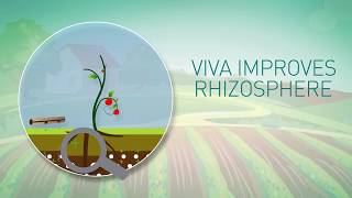 Viva rhizosphere improver [upl. by Tamarah]