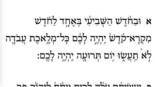 Rosh Hashanah Day 1 First Torah Maftir Verse 1  Learn Biblical Hebrew [upl. by Ingham]