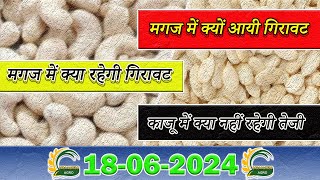 cashew nut price  watermelon seeds price  magaj per kg price [upl. by Marquis283]