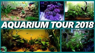 TOUR DE MES AQUARIUMS 2018 Aquariophilie by Aquazen [upl. by Yalonda]